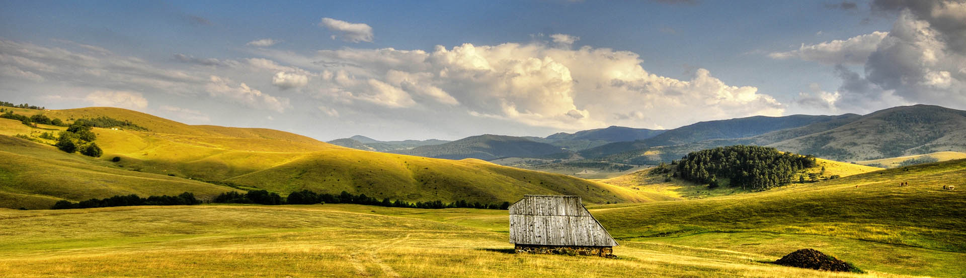 Vožnja do Zlatibora
